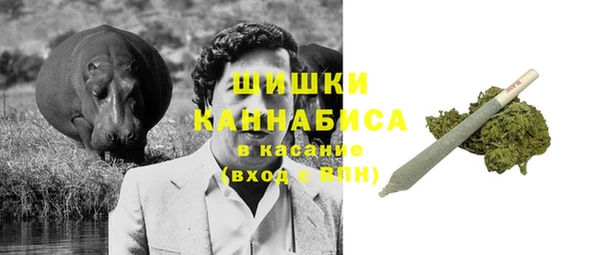 ПСИЛОЦИБИНОВЫЕ ГРИБЫ Алзамай