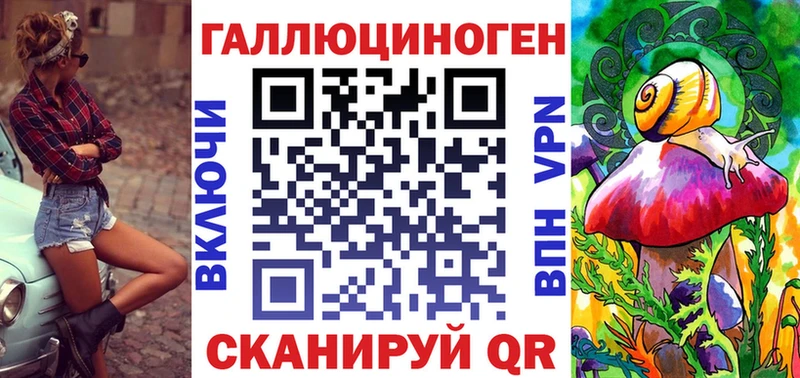 блэк спрут сайт  Кувшиново  Псилоцибиновые грибы прущие грибы  где найти  